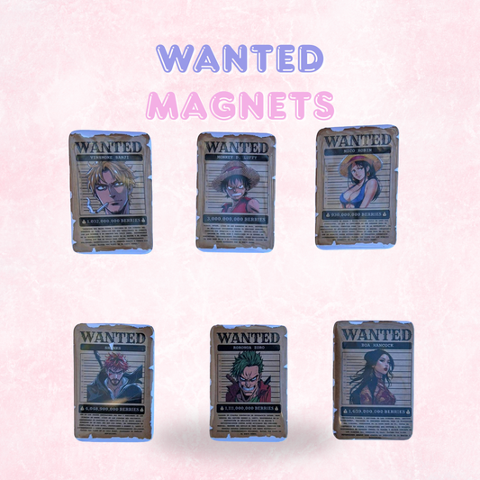 One Piece Inspired Wanted Poster Ref Magnets