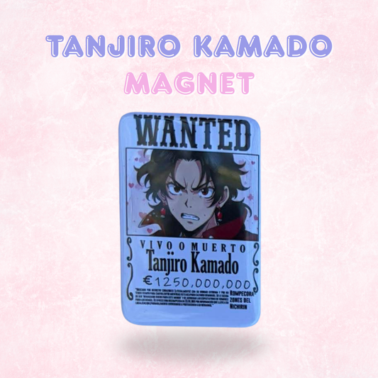 Anime Wanted Poster Magnets | Ref Magnets