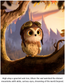 Oliver takes Flight | Children's Story Book