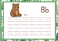 Alphabet Tracing Pad - Animal Theme | Digital Download