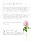 She is Worthy | Devotional Journal for Women