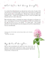 She is Worthy | Devotional Journal for Women