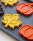 Autumn Harvest Magnetic Decorative Accent Set